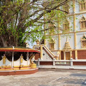 รูปภาพที่ 1