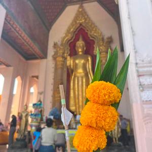 รูปภาพที่ 7