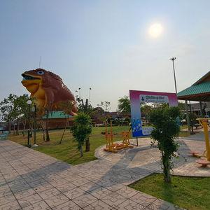 รูปภาพที่ 8