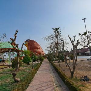 รูปภาพที่ 1