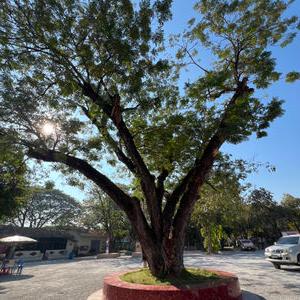 รูปภาพที่ 5