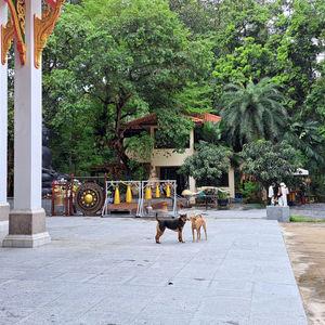 รูปภาพที่ 1