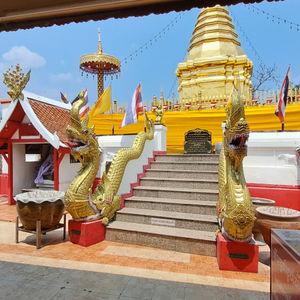 รูปภาพที่ 5
