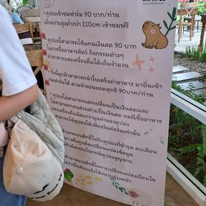 รูปภาพที่ 7
