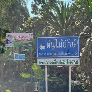 รูปภาพที่ 5