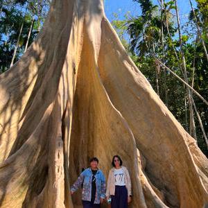 รูปภาพที่ 2