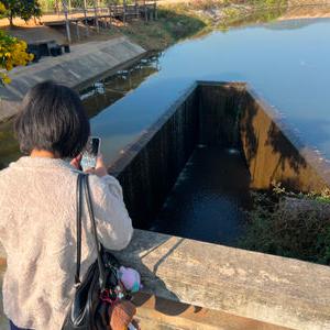 รูปภาพที่ 4