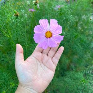 รูปภาพที่ 6