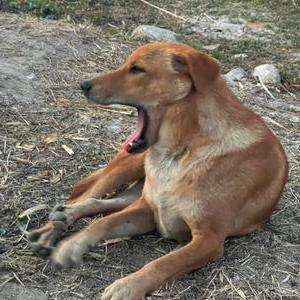 รูปภาพที่ 5