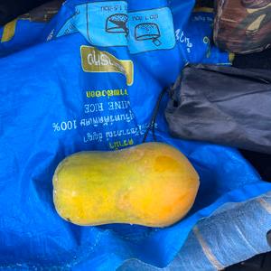 รูปภาพที่ 1