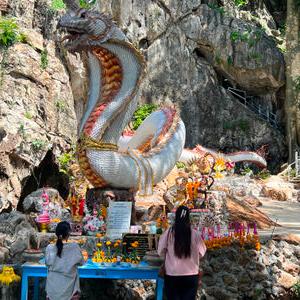 รูปภาพที่ 5