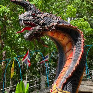 รูปภาพที่ 4