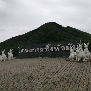 รูปภาพที่ 8