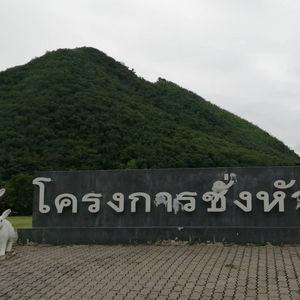 รูปภาพที่ 7