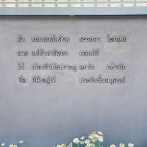 รูปภาพที่ 7