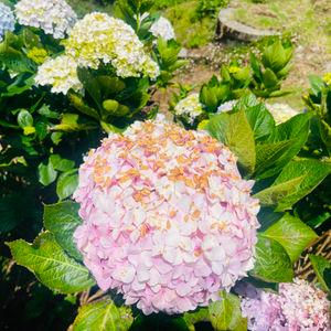 รูปภาพที่ 3