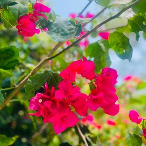 รูปภาพที่ 9