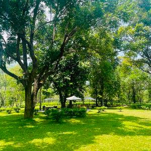 รูปภาพที่ 3