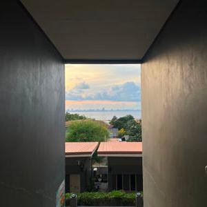 รูปภาพที่ 4