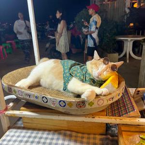 รูปภาพที่ 1