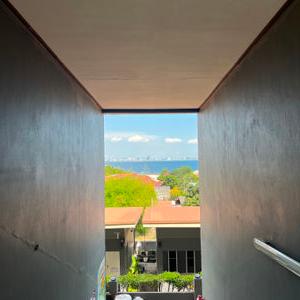 รูปภาพที่ 4