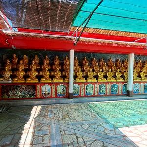 รูปภาพที่ 8