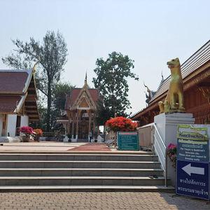 No. 4