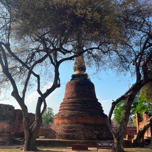 รูปภาพที่ 7