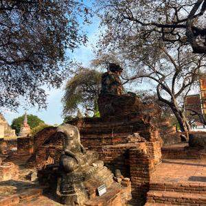 รูปภาพที่ 2