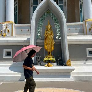 รูปภาพที่ 8