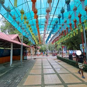 รูปภาพที่ 8