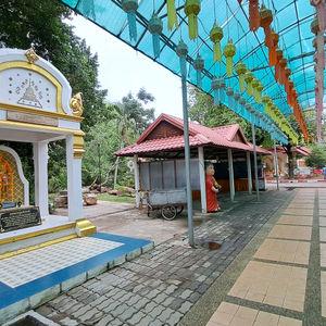 รูปภาพที่ 7