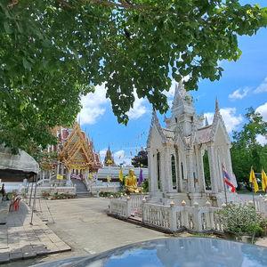 รูปภาพที่ 5