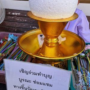รูปภาพที่ 8