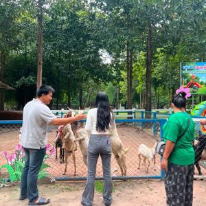 รูปภาพที่ 3