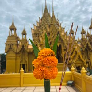 รูปภาพที่ 5