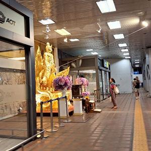 编号5