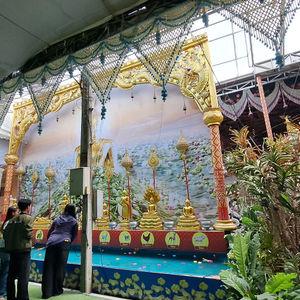 รูปภาพที่ 8