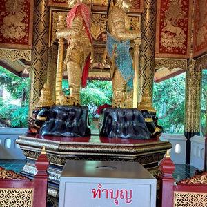 รูปภาพที่ 5