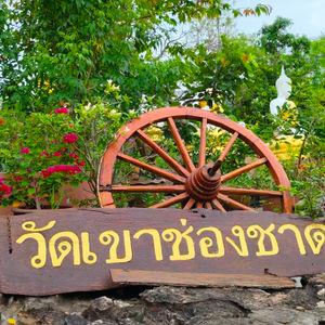 รูปภาพที่ 1