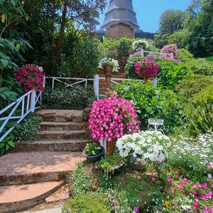รูปภาพที่ 1