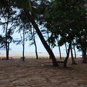รูปภาพที่ 4