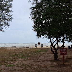 รูปภาพที่ 2