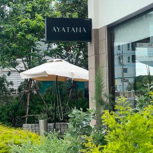 รูปภาพที่ 5