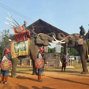 รูปภาพที่ 3