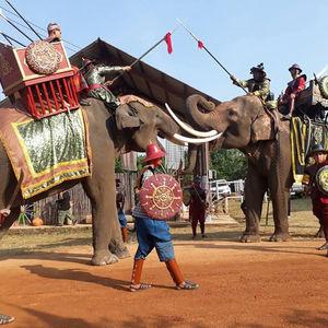 รูปภาพที่ 1