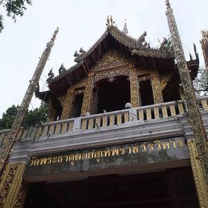 No. 5