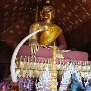 รูปภาพที่ 3