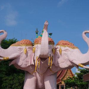 รูปภาพที่ 1