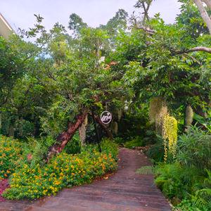 รูปภาพที่ 9